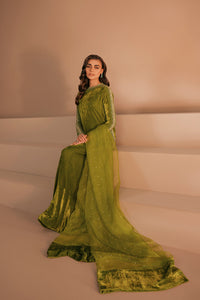 Charteuse Green Embellished Velvet Set