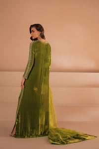 Charteuse Green Embellished Velvet Set