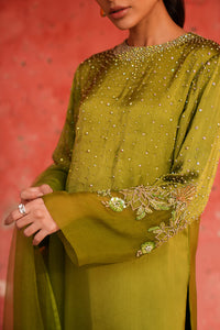 Leaf Green Embellished Sleeve Set